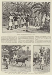 Across Two Oceans, the West Indies